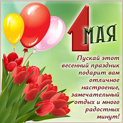 Замечательная открытка с тюльпанами и шариками на 1 мая