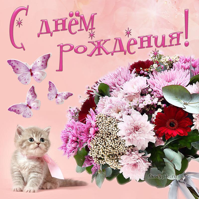 Прикольный котёнок и букет цветов на День рождения