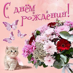 Прикольный котёнок и букет цветов на День рождения