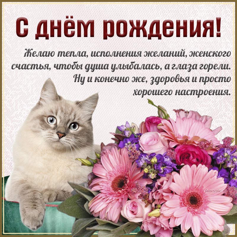 Открытка на день рождения - котик и пожелание исполнения желаний и женского счастья