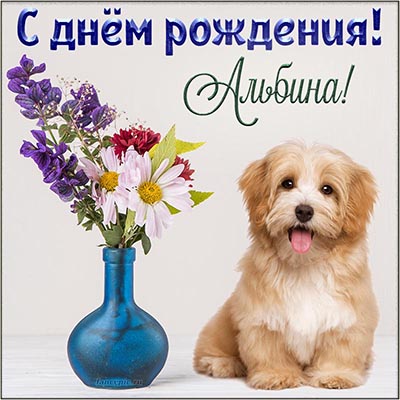Красивая открытка Альбине с милой собакой и букетом