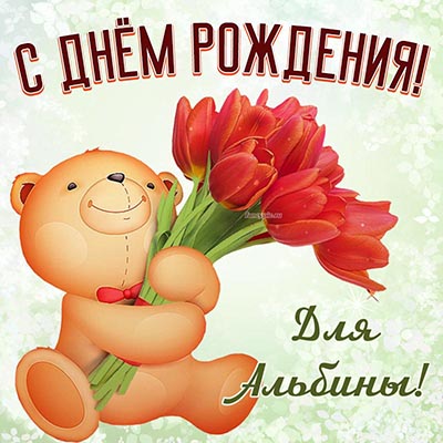 Поздравление Альбине на фоне мишки и красных тюльпанов