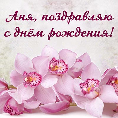 Орхидеи и надпись - Аня, поздравляю с днём рождения