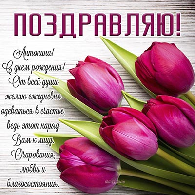 Поздравление от всей души Антонине и красивые тюльпаны