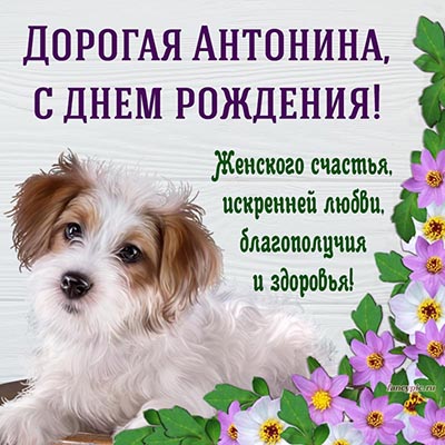 Картинка с собакой и цветочками дорогой Антонине