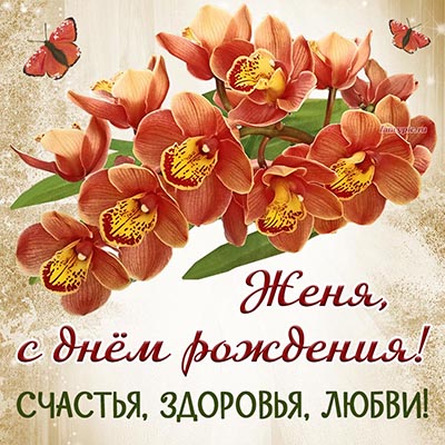 Красивые орхидеи и пожелание для Жени на день рождения