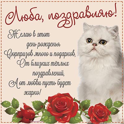 Поздравление Любе со стихами, прикольным котом и розами