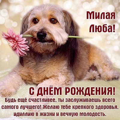Прекрасная открытка с собакой и цветком милой Любе