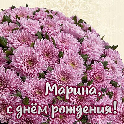 Дивная открытка с хризантемами Марине на день рождения