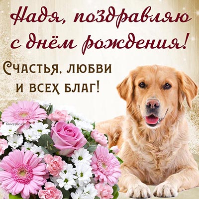 Добрая собака и текст - Надя, поздравляю с днём рождения
