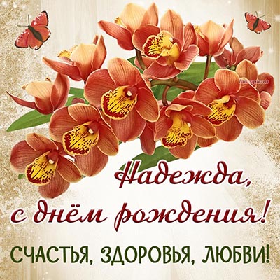 Приятное пожелание Надежде на день рождения и орхидеи