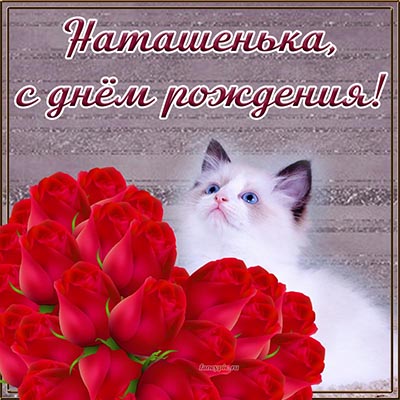 Картинка с котом и цветами в форме сердца Наташеньке