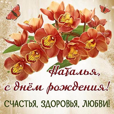 Орхидеи, бабочки и поздравление Наталье на день рождения