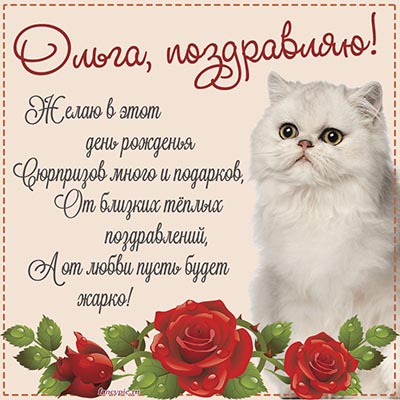 Открытка со стихами, белым котом и розочками Ольге