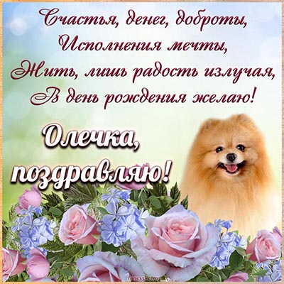 Картинка с забавной собакой Олечке на день рождения
