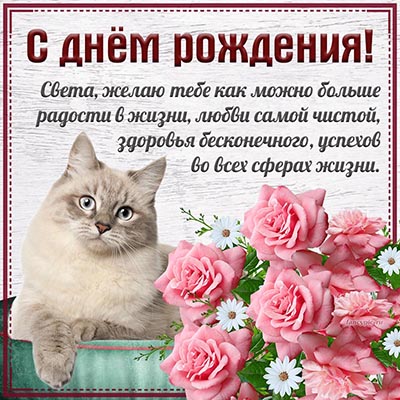 Супер картинка с кошкой и цветами Свете на день рождения
