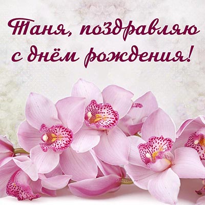 Поздравление с днём рождения Тане и розовые орхидеи