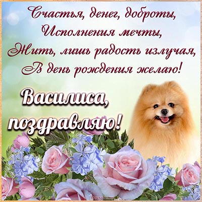 Забавная собака и чудесное поздравление в стихах Василисе