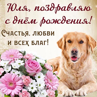 Собака, цветы и текст - Юля, поздравляю с днём рождения