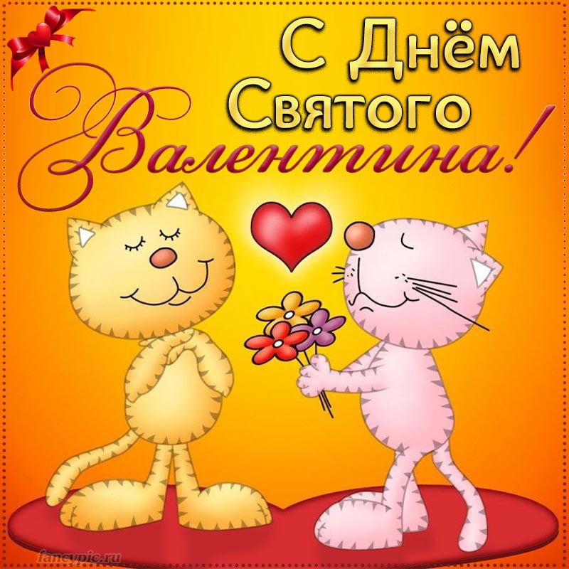 Картинка на День Святого Валентина с забавными котиками