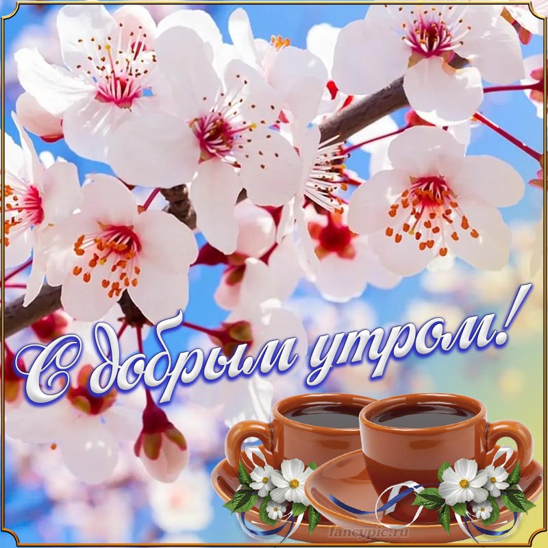 Яркая открытка с чашками кофе и белыми цветочками