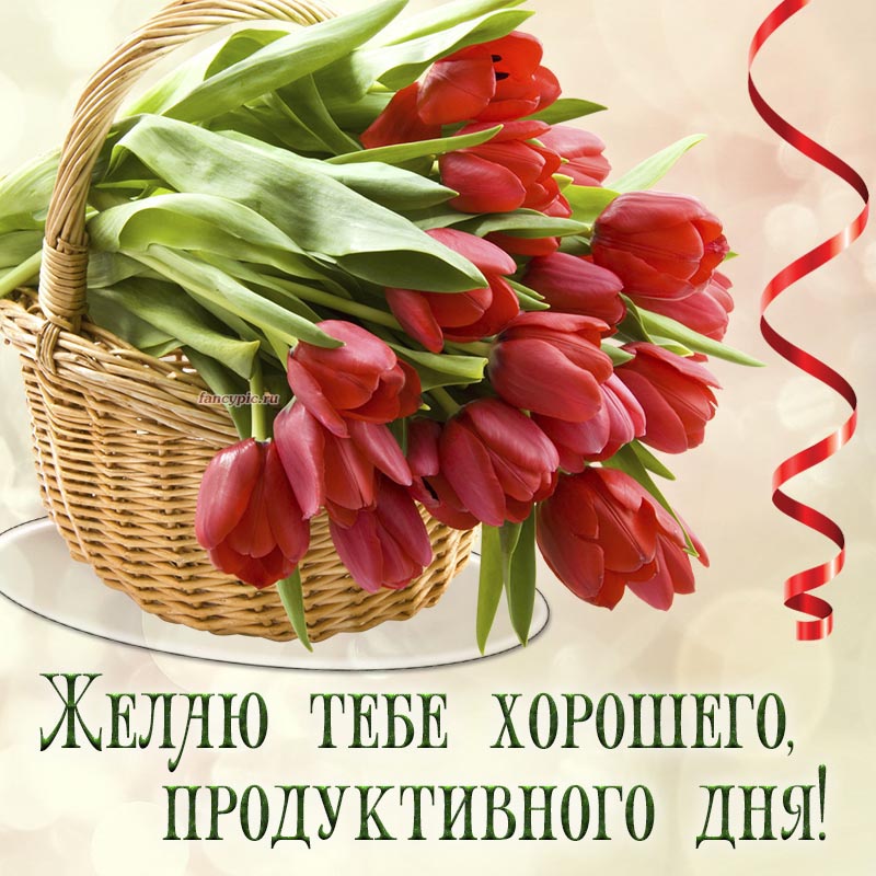 Хорошего, продуктивного дня и корзинка тюльпанов