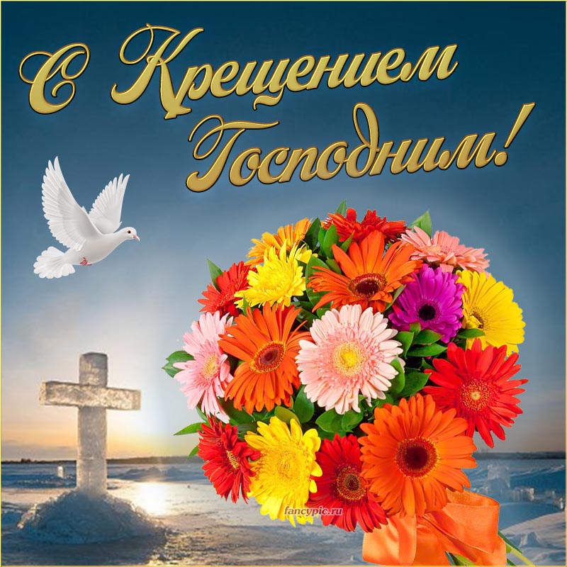 Зимняя картинка с цветами и голубем на Крещение Господне