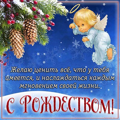 Прикольная открытка с ангелом и шишками на Рождество