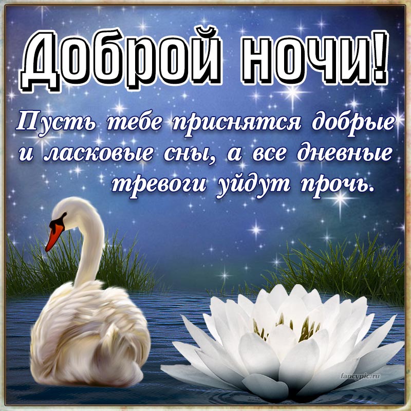 Красивая открытка доброй ночи с лебедем и кувшинкой