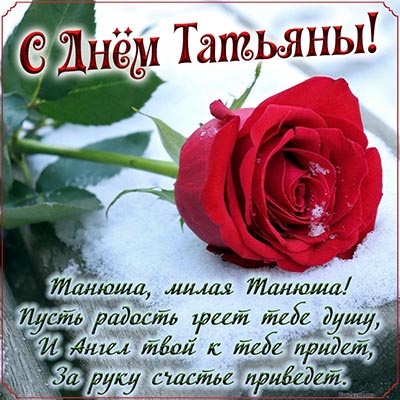 Открытка с красной розой и стихами на День Татьяны